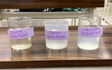 Experiments in Action