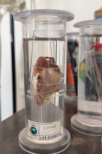 Science Lab