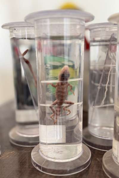 Science Lab