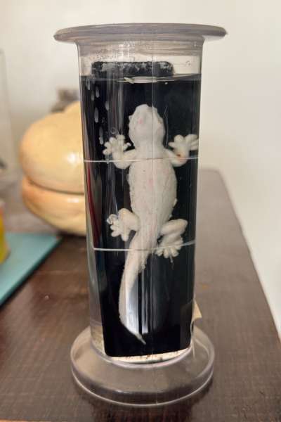 Science Lab