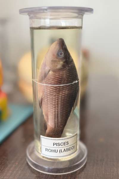 Science Lab